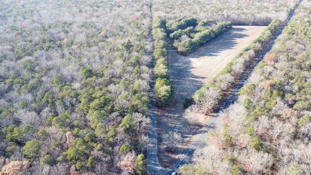a view of a yard with plants and trees