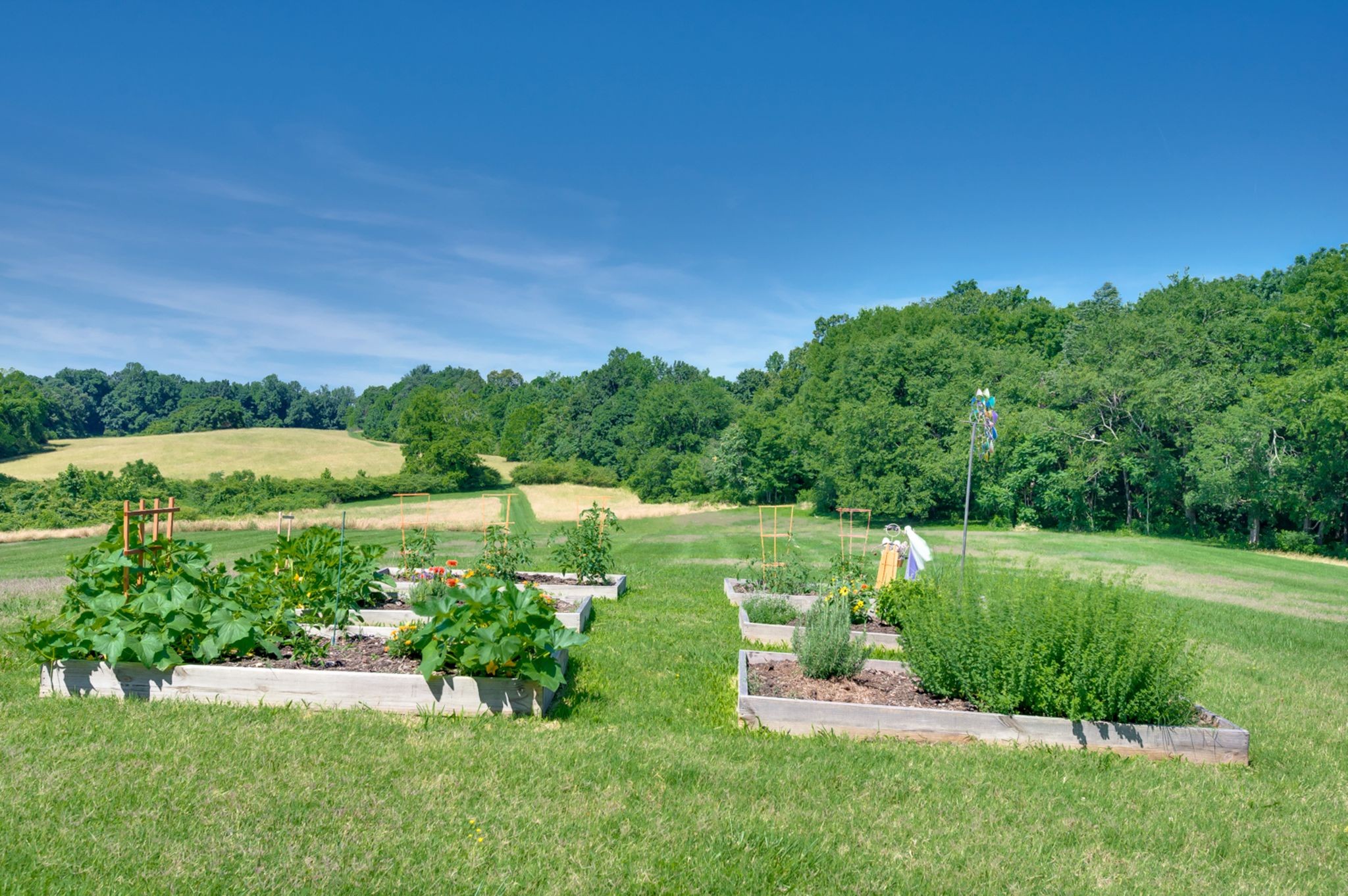 1397 Westfield Road Dickson, TN 37055 - Photo 75 of 84