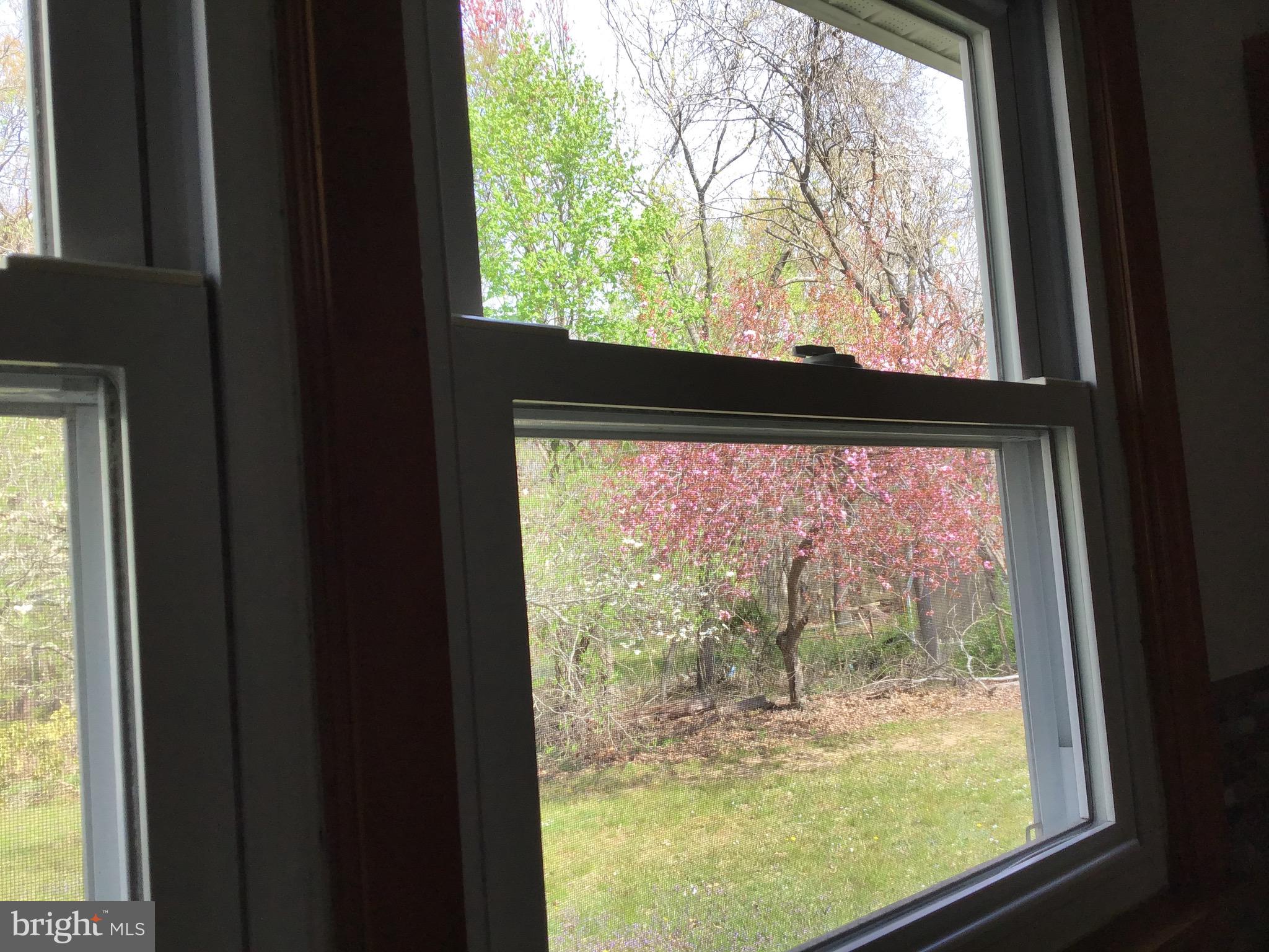 1503 Marshall Mill Road Franklinville, NJ 08322 - Photo 13 of 34 a view of large windows and outside view
