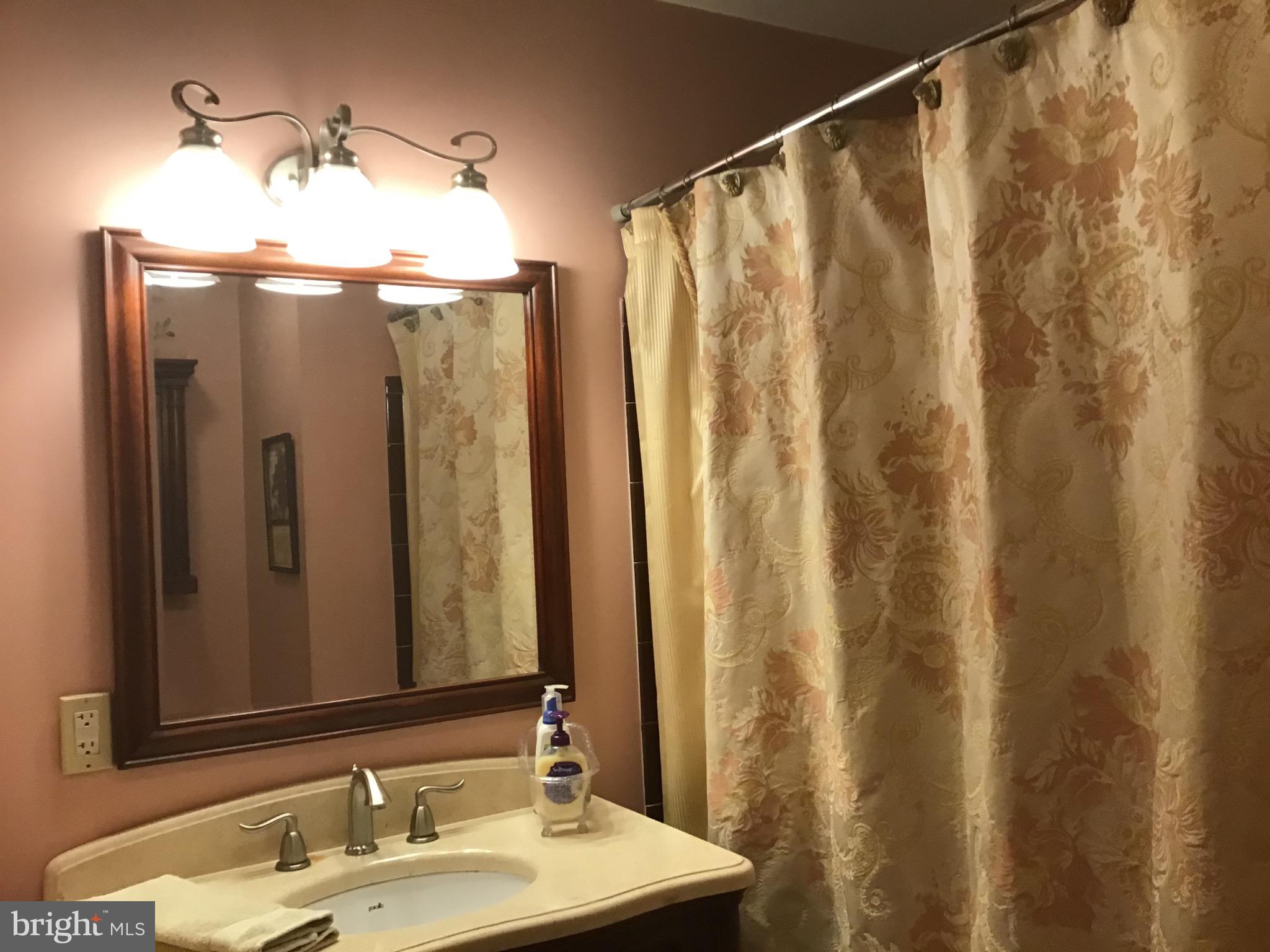 1503 Marshall Mill Road Franklinville, NJ 08322 - Photo 28 of 34 a bathroom with a sink a mirror and a shower curtain