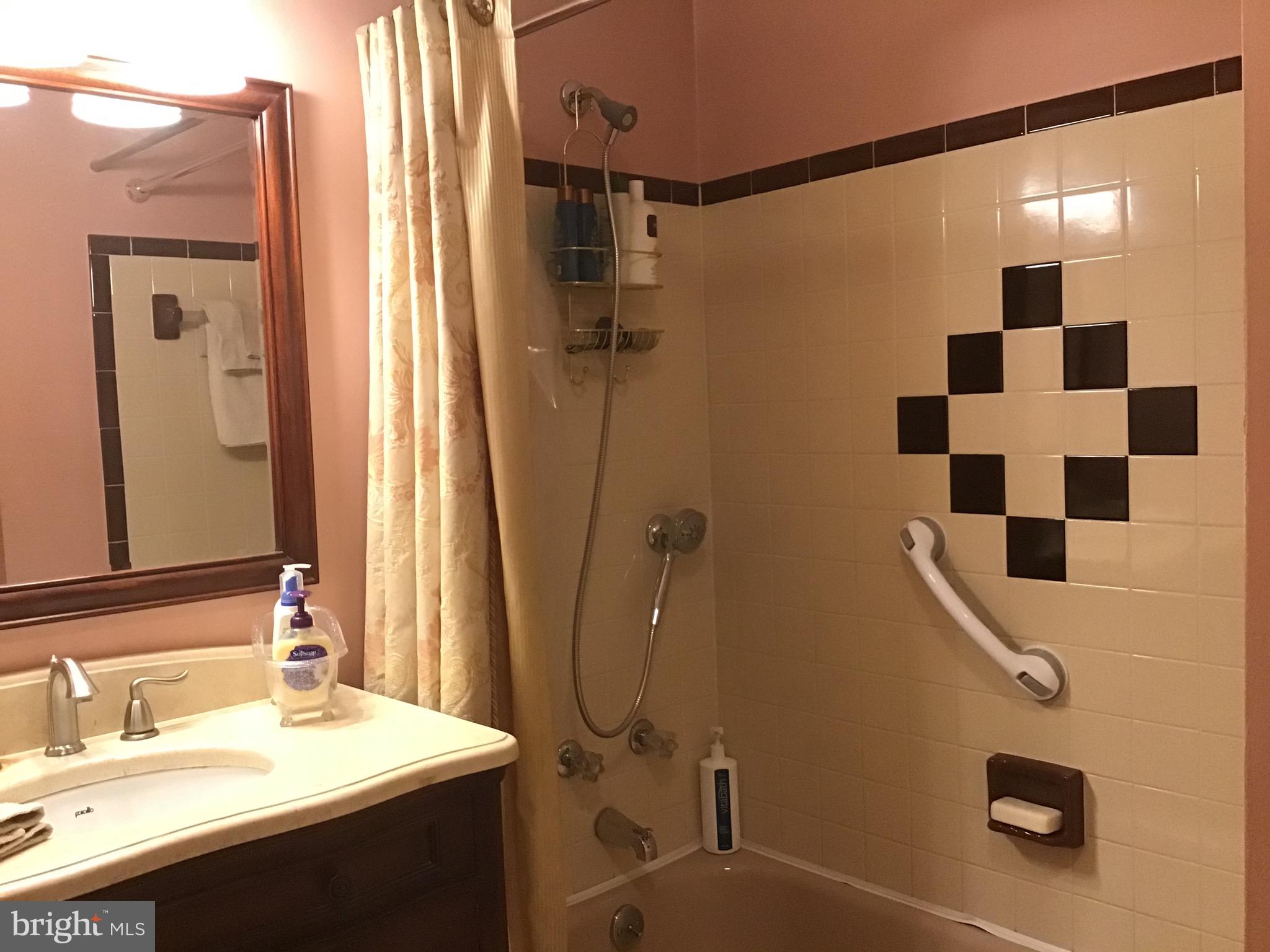 1503 Marshall Mill Road Franklinville, NJ 08322 - Photo 30 of 34 a bathroom with a sink a mirror and a shower