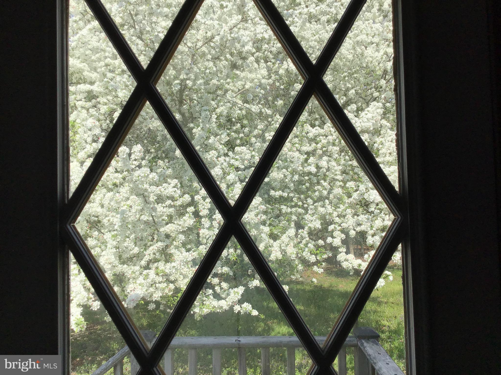 1503 Marshall Mill Road Franklinville, NJ 08322 - Photo 4 of 34