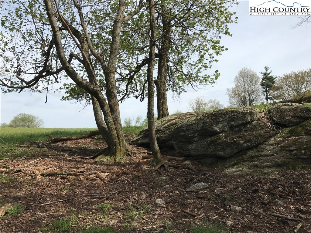 On The Rocks Trail Boone, NC 28607 - Photo 1 of 15 Gallery Image 1