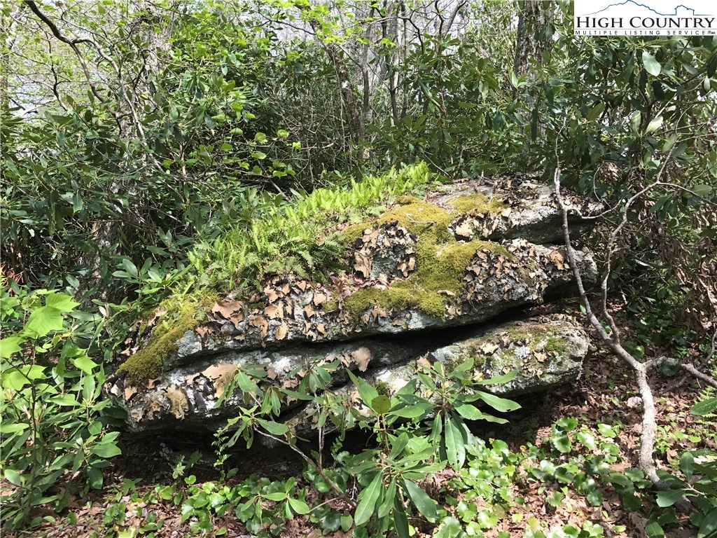 On The Rocks Trail Boone, NC 28607 - Photo 2 of 15 Gallery Image 2