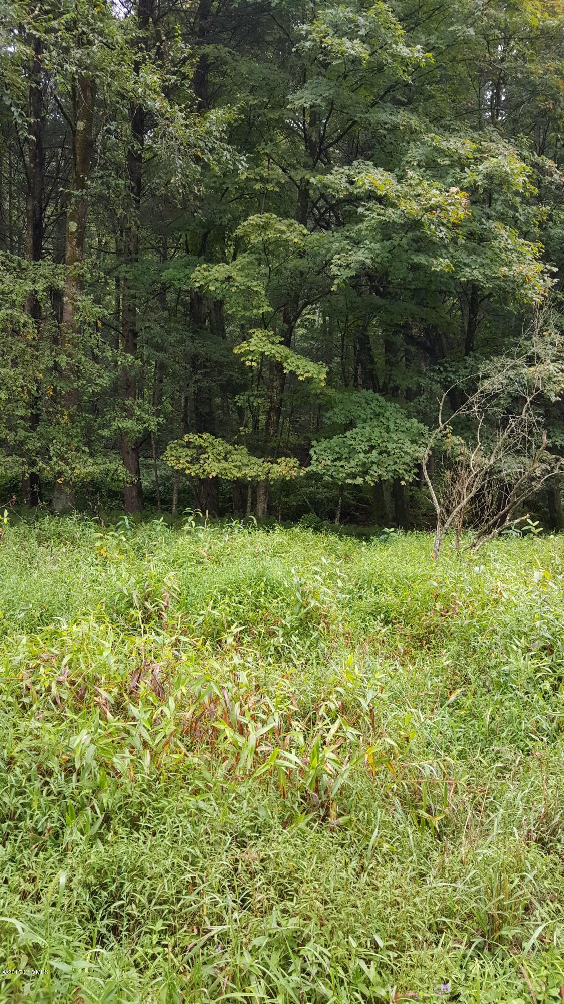 Rock Run Road Hughesville, PA 17737 - Photo 3 of 4 Gallery Image 3