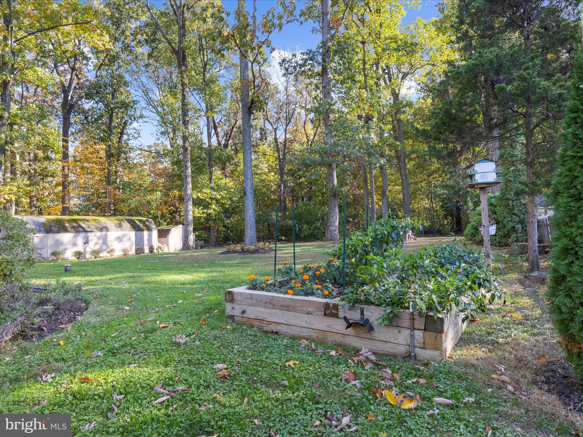 11 Barnhart Road Westminster, MD 21158 - Photo 48 of 66 a view of a garden with plants and a bench