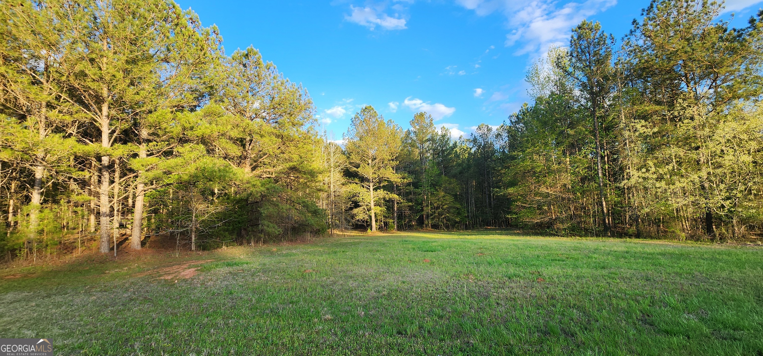 8-9 Pitts Chapel Road Newborn, GA 30056 - Photo 1 of 1 Gallery Image 1