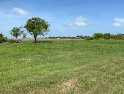 2103 2nd Street Bayside, TX 78340 - Photo 4 of 7 a view of a garden