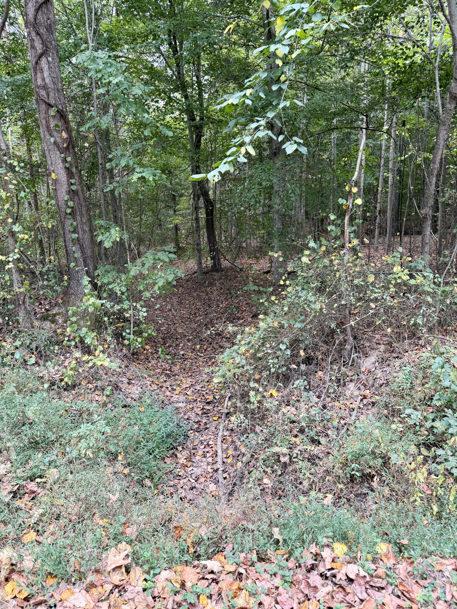 0 McDonald Road Lexington, TN 38351 - Photo 7 of 13 Gallery Image 7