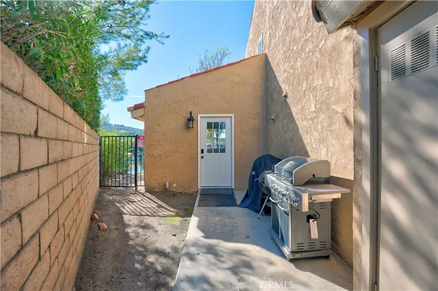 an outdoor space with lots of palm trees