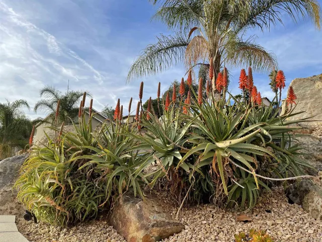 $910,000 | 1637 Paraiso Avenue, Spring Valley, CA 91977