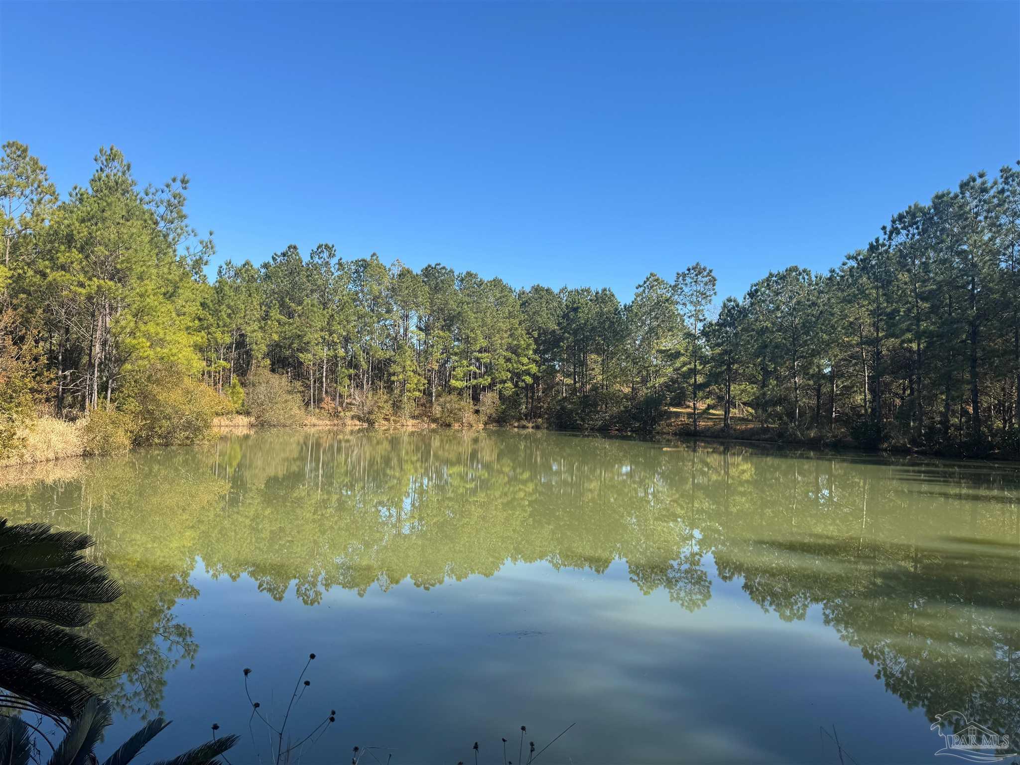 3 Oil Well Road Flomaton, AL 36441 - Photo 3 of 7