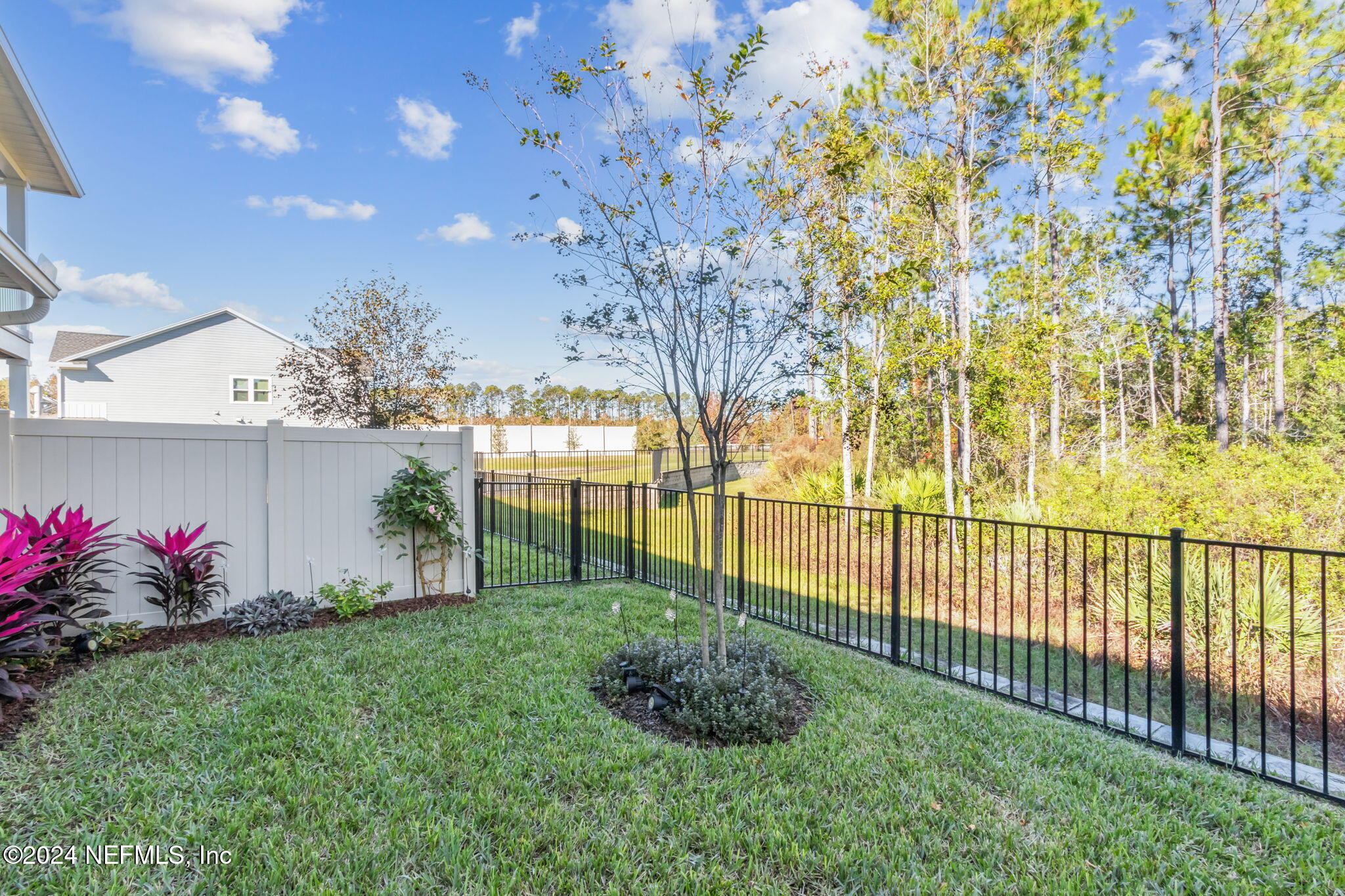 9901 Element Road Jacksonville, FL 32256 - Photo 45 of 46 Backyard