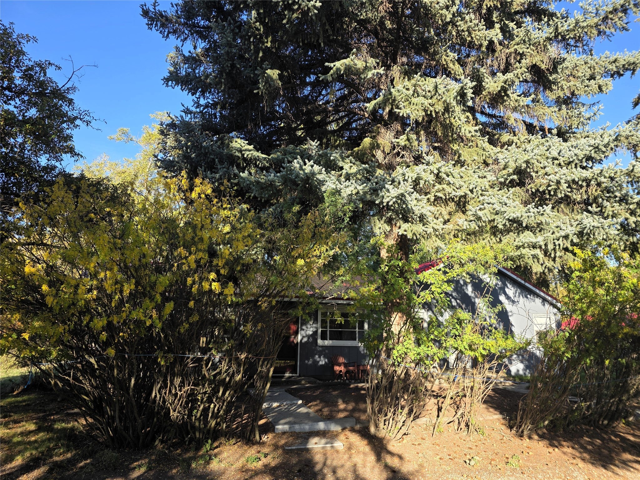 115 Ricketts Road Hamilton, MT 59840 - Photo 27 of 58 Gallery Image 27