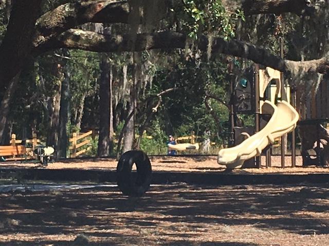 489 Fort Johnson Road Charleston, SC 29412 - Photo 44 of 52 20171110015710759493000000-o