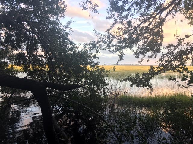 489 Fort Johnson Road Charleston, SC 29412 - Photo 45 of 52 20171110015750916826000000-o