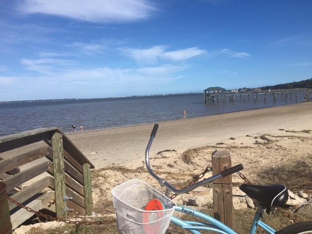 489 Fort Johnson Road Charleston, SC 29412 - Photo 46 of 52 20171110015919667076000000-o