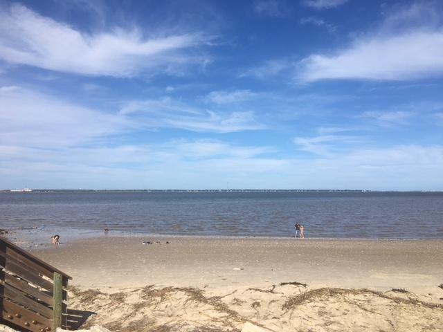 489 Fort Johnson Road Charleston, SC 29412 - Photo 47 of 52 20171110015921451890000000-o