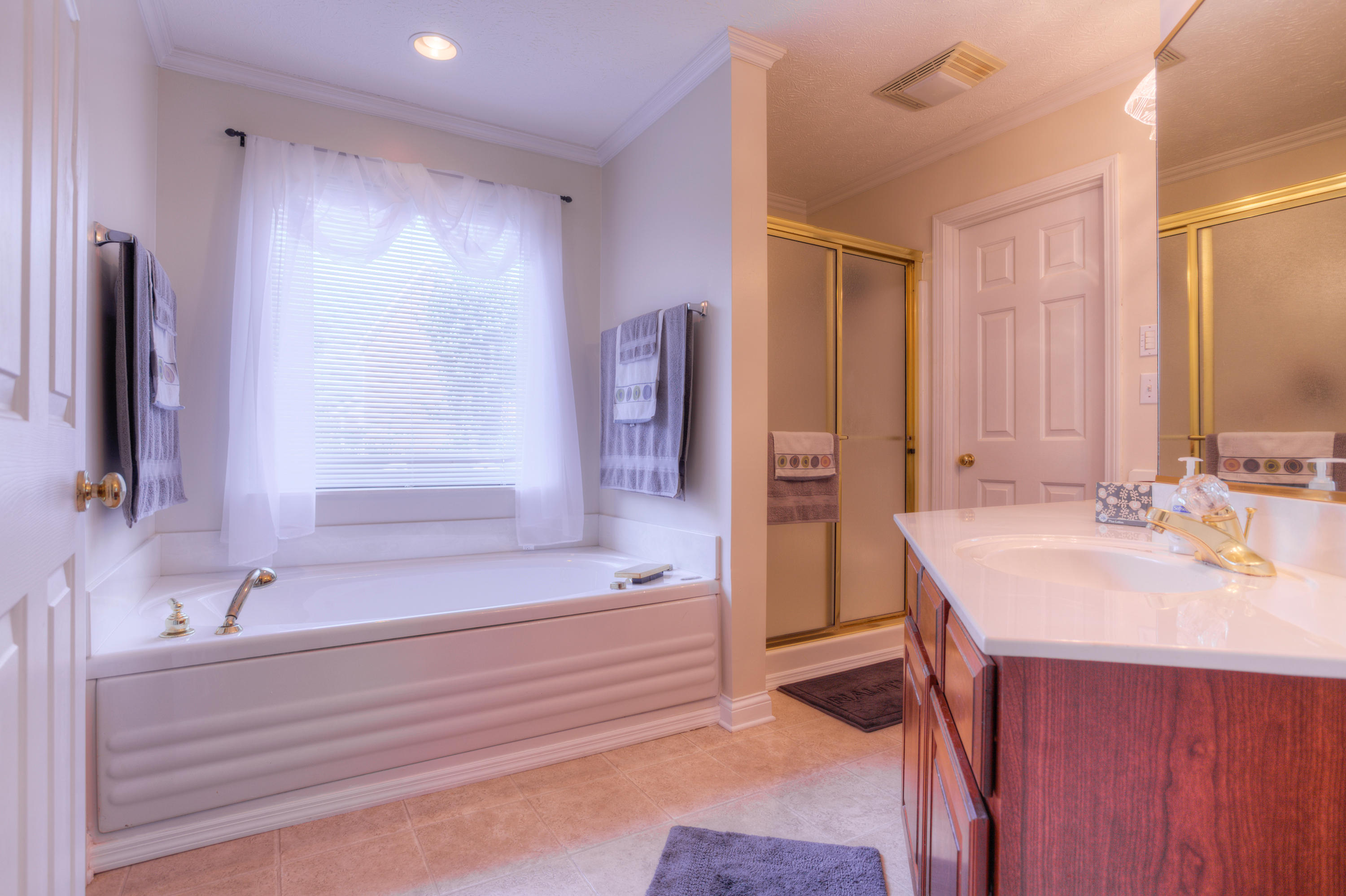 113 Capital Circle Oak Ridge, TN 37830 - Photo 20 of 40 Master Bath_002