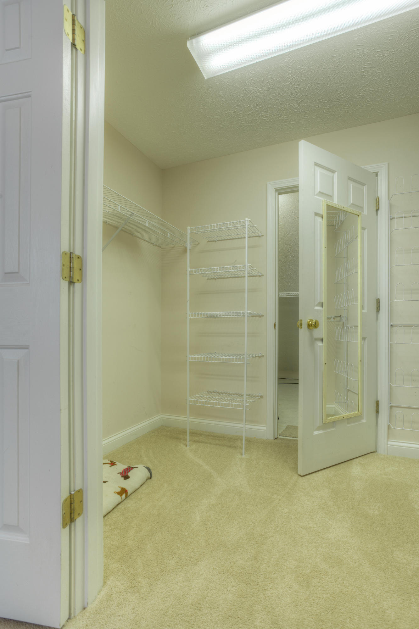 113 Capital Circle Oak Ridge, TN 37830 - Photo 22 of 40 Master Cloest with Access to Storage_001