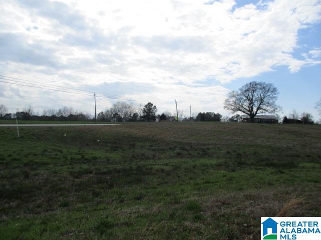 160 Highway Parcel Al, Unit 1 Cleveland, AL 35049 - Photo 7 of 10