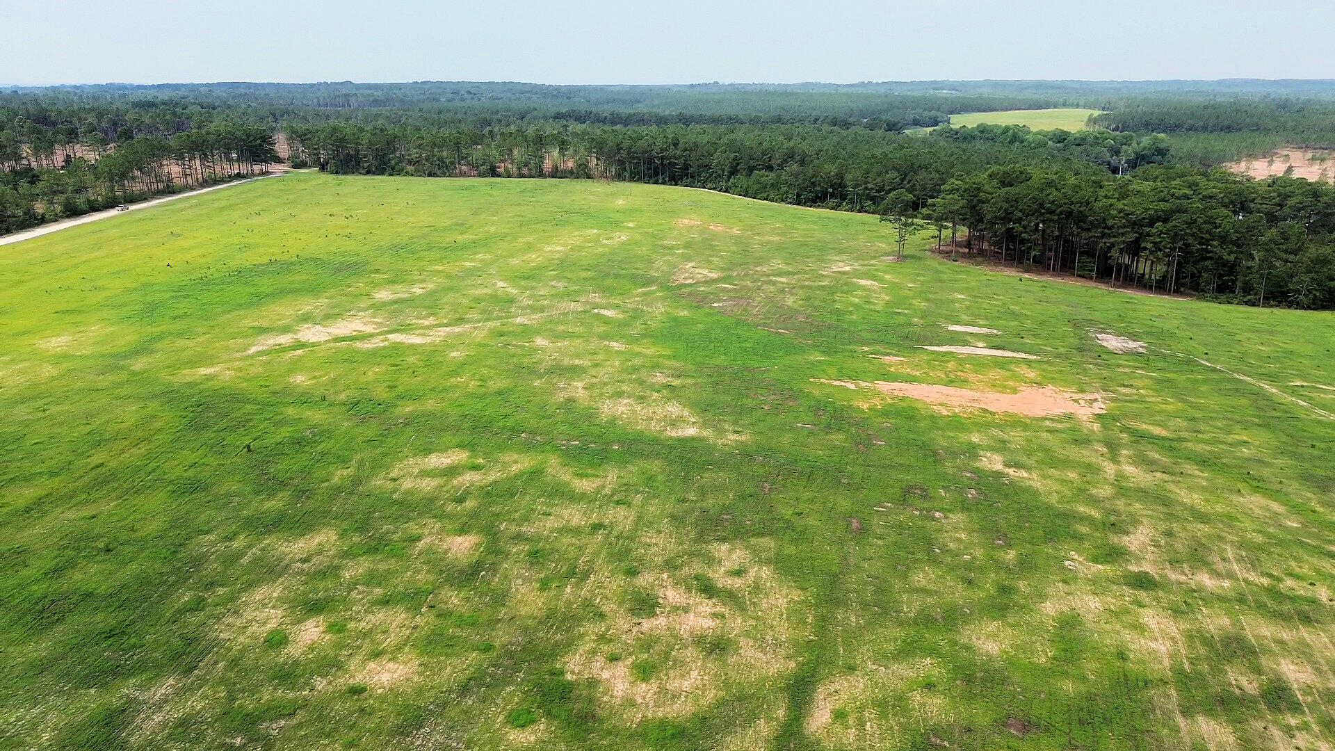 50 Laughlin Loop Aiken, SC 29805 - Photo 6 of 8