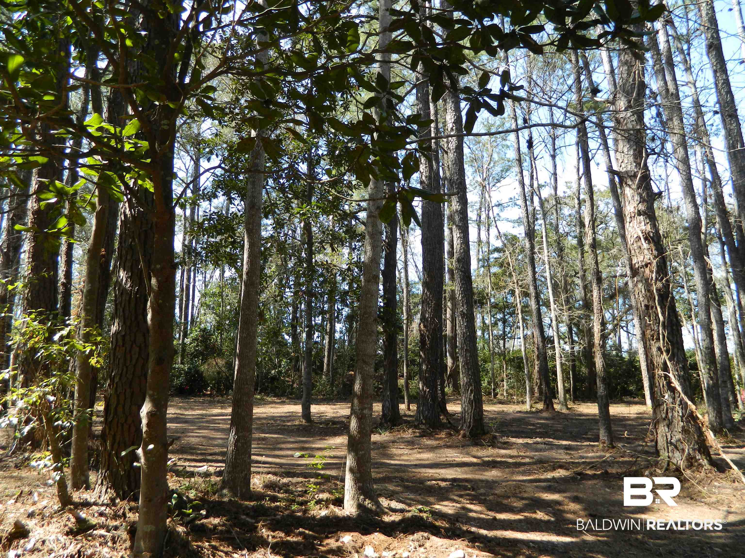 Riverview Nursery Road Theodore, AL 36582 - Photo 22 of 24