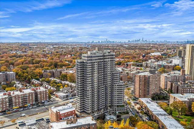 a living room with a couch and a potted plant