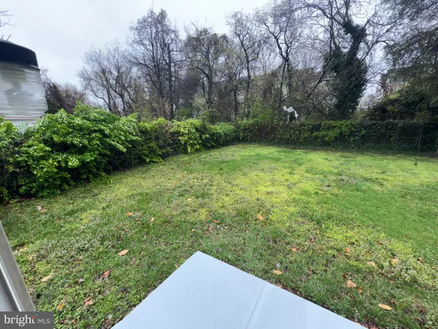 a view of a yard with potted plants