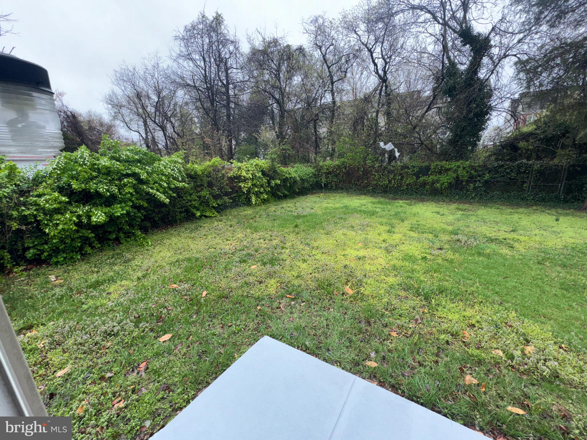 2810 Xavier Lane District Heights, MD 20747 - Photo 25 of 27 a view of a yard with potted plants