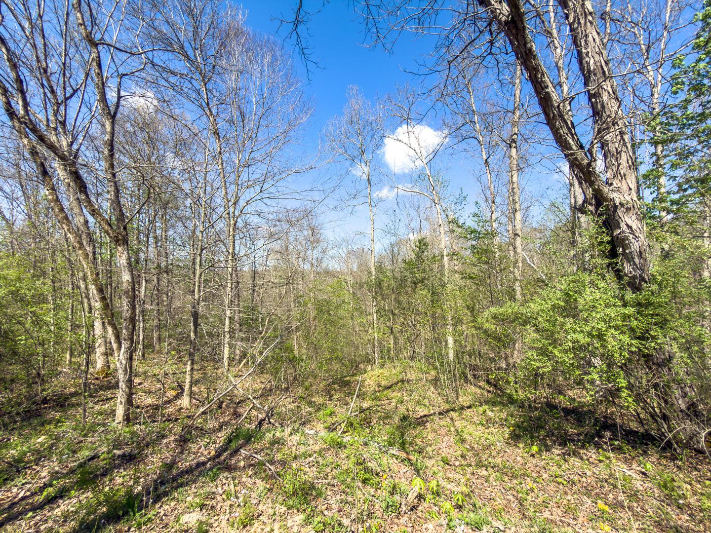 5235 Pounds Road Glouster, OH 45732 - Photo 7 of 28