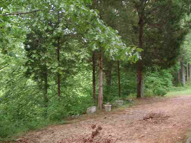 701 State Rd S-4-555 Iva, SC 29655 - Photo 8 of 9 Gallery Image 8