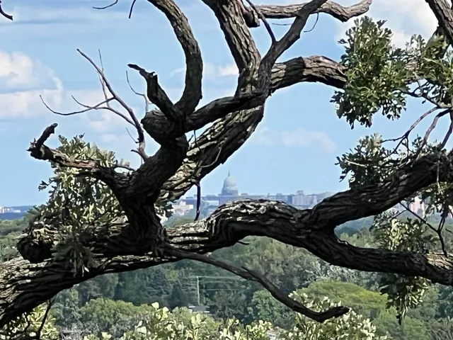 $2,400 | 6500 County Road K, Unit 2, Waunakee, WI 53597