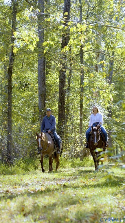 2125 Strawberry Run Crozier, VA 23039 - Photo 4 of 50 a backyard of a house with seating space