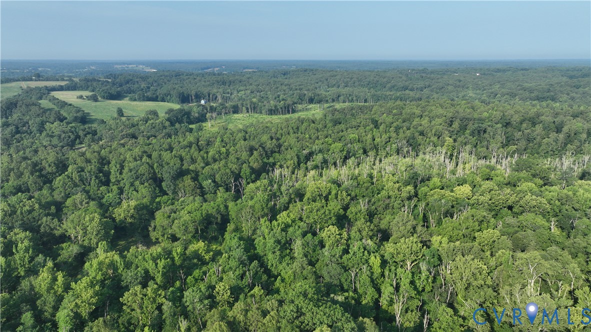 2125 Strawberry Run Crozier, VA 23039 - Photo 5 of 50 an aerial view of residential houses with outdoor space and trees