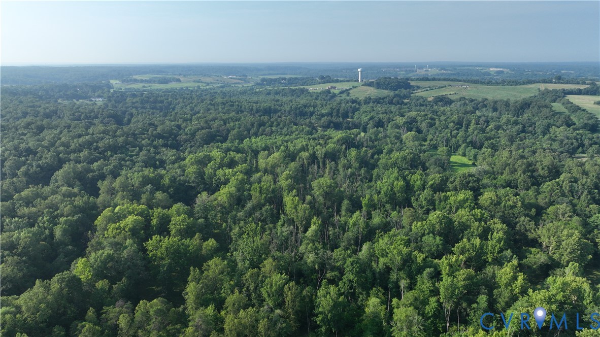 2125 Strawberry Run Crozier, VA 23039 - Photo 6 of 50 an aerial view of forest