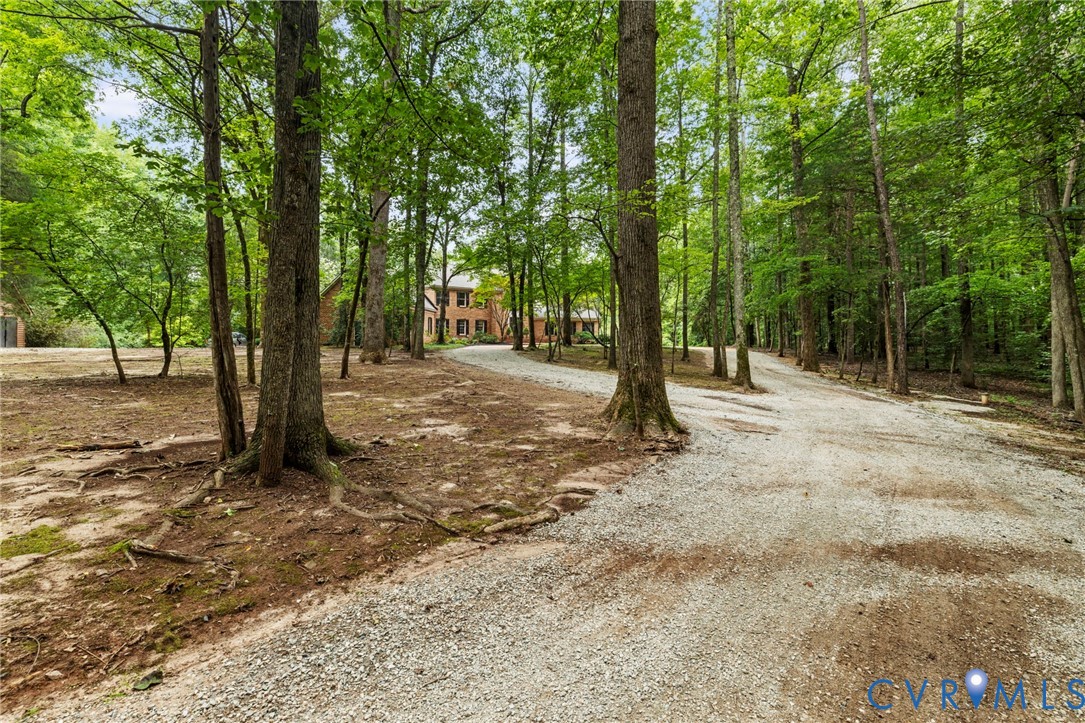 2125 Strawberry Run Crozier, VA 23039 - Photo 9 of 50 a view of outdoor space with trees