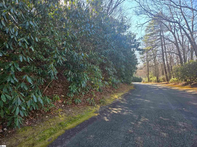 $35,000 | 616 Cliff Ridge Drive, Cleveland, SC 29635