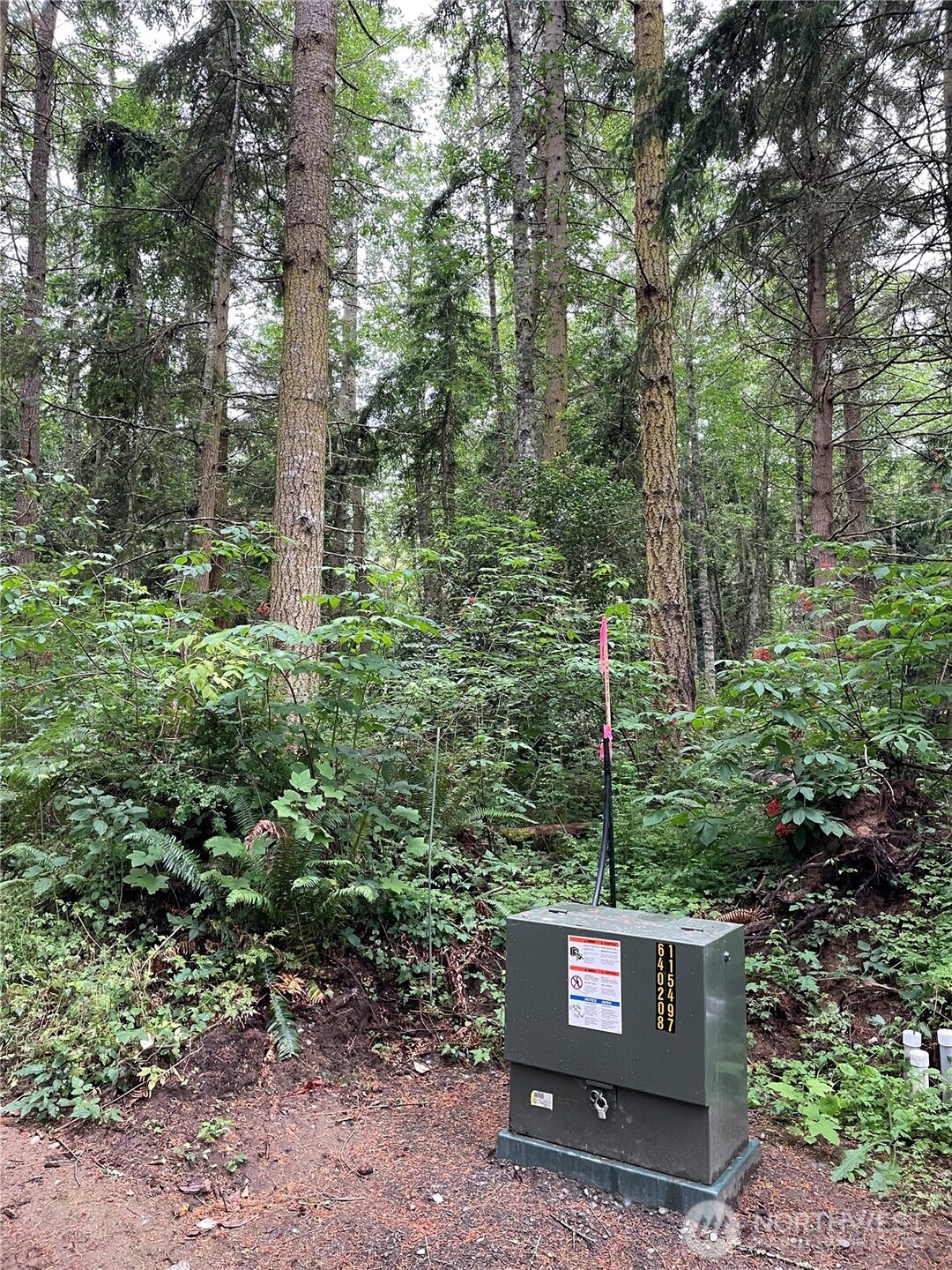 2 Louisa St Port Port Townsend, WA 98368 - Photo 11 of 12 a view of a trees in a yard