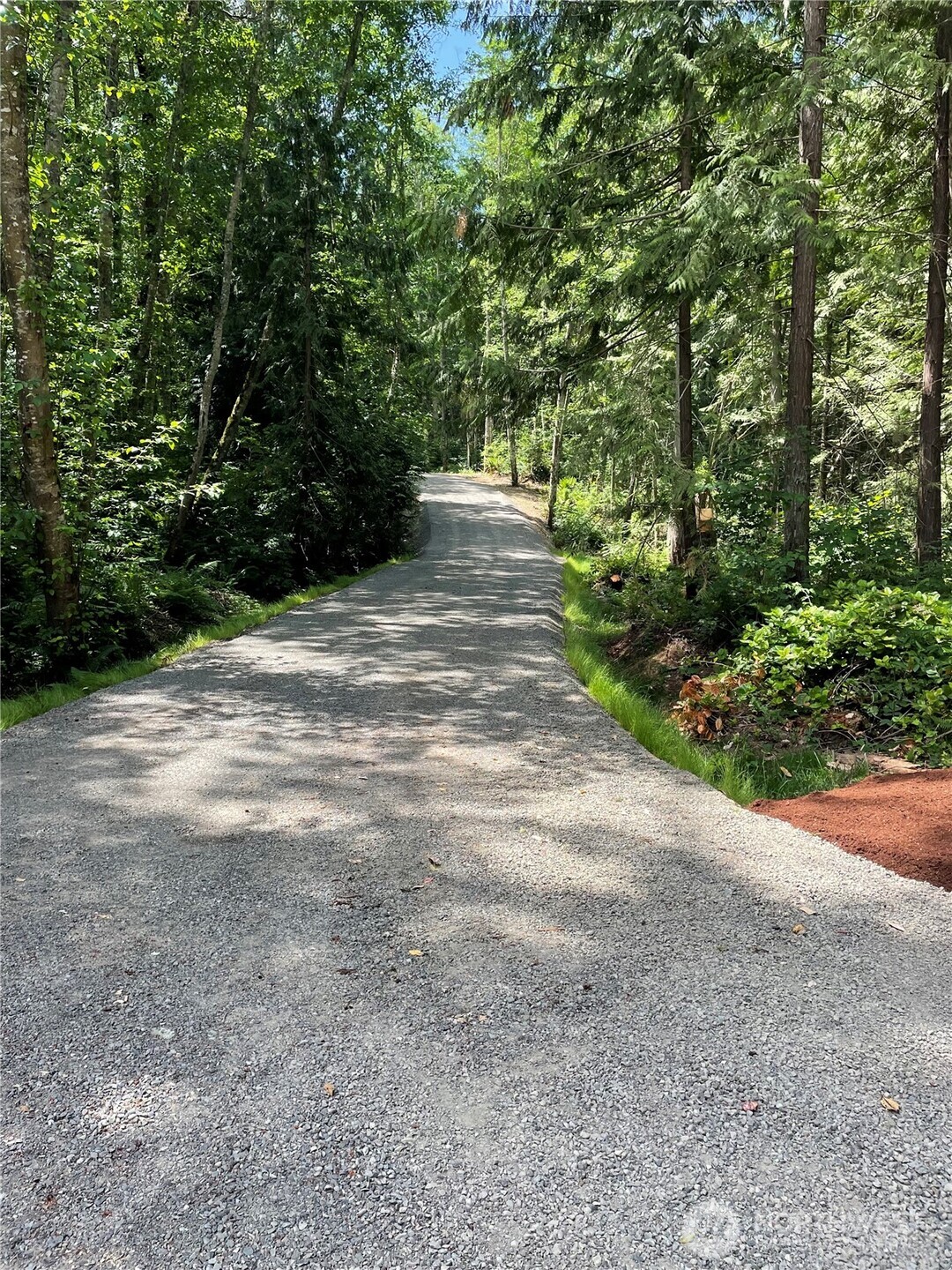 2 Louisa St Port Port Townsend, WA 98368 - Photo 2 of 12 a view of a yard with plants and trees