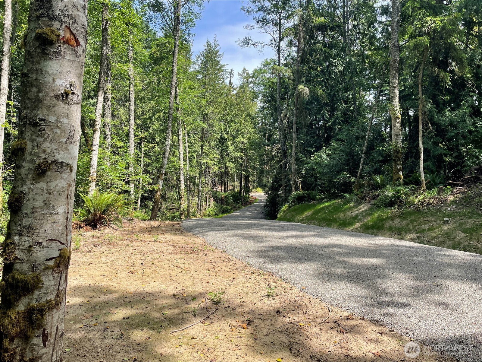 2 Louisa St Port Port Townsend, WA 98368 - Photo 3 of 12 a view of a backyard of a house