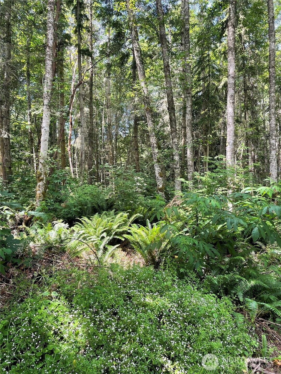 2 Louisa St Port Port Townsend, WA 98368 - Photo 4 of 12