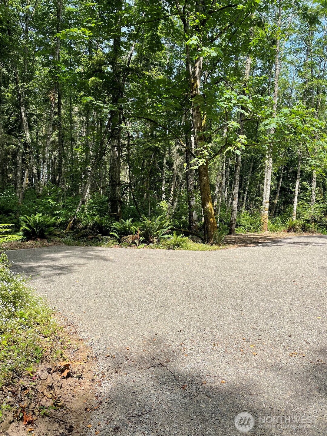 2 Louisa St Port Port Townsend, WA 98368 - Photo 9 of 12 a view of outdoor space and yard