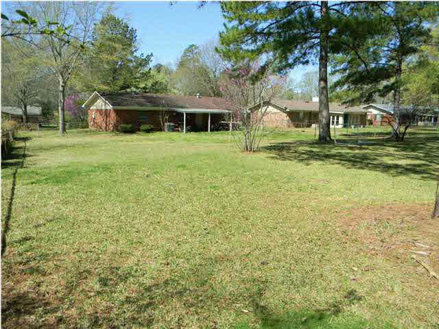 107 Springridge Drive Brandon, MS 39042 - Photo 17 of 18 Alternate view of backyard