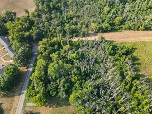 $24,500 | Brown Avenue, Medina, NY 14103