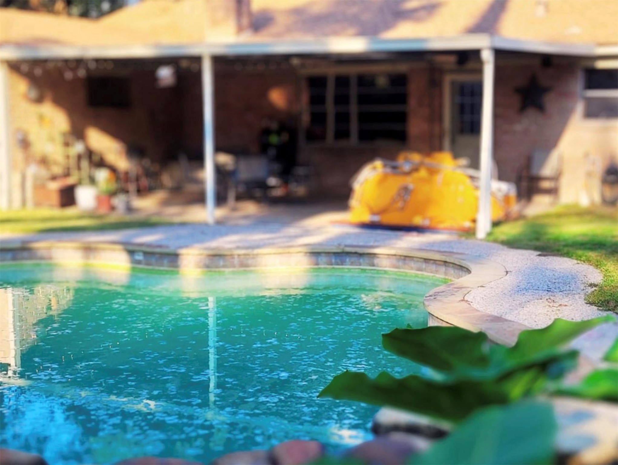 10211 Kerr Lane Conroe, TX 77385 - Photo 4 of 25 a view of back yard of the house