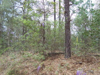 2 Weathersby Road Salley, SC 29137 - Photo 1 of 1