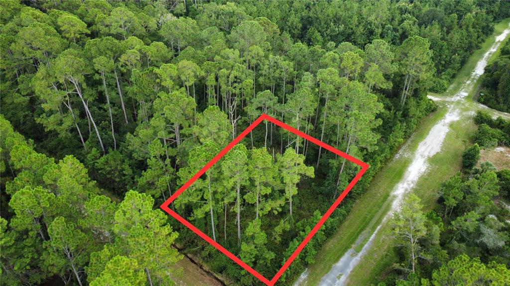 401 Dogwood Avenue Georgetown, FL 32139 - Photo 1 of 3 a view of a large park with large trees