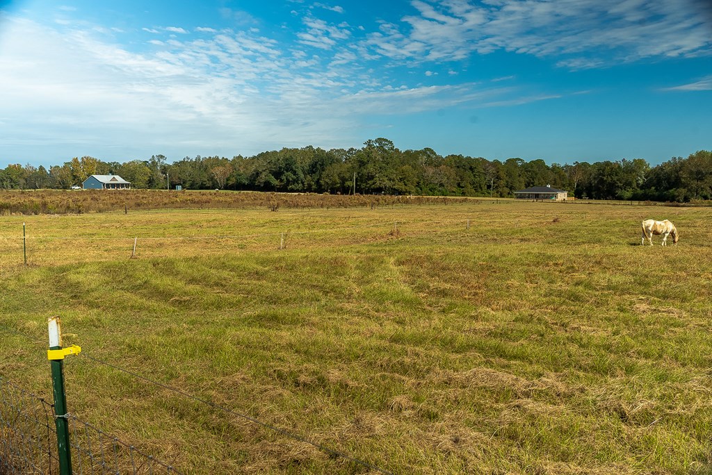0 J B J B Jackson Road Webb, AL 36376 - Photo 30 of 38