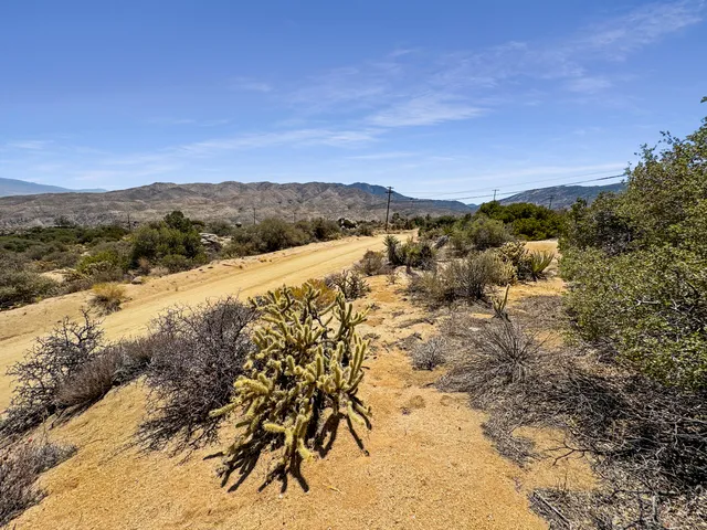 a view of a dry yard with mountains in the background